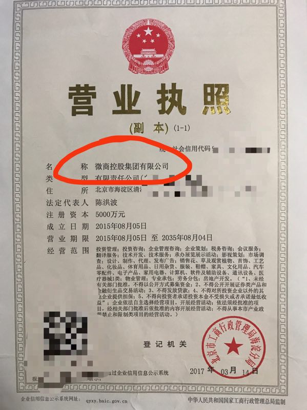 Weishang Holding Group Business License No. 4
